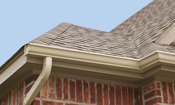 Roofs and Gutters Together Solve Water Run Off Issues